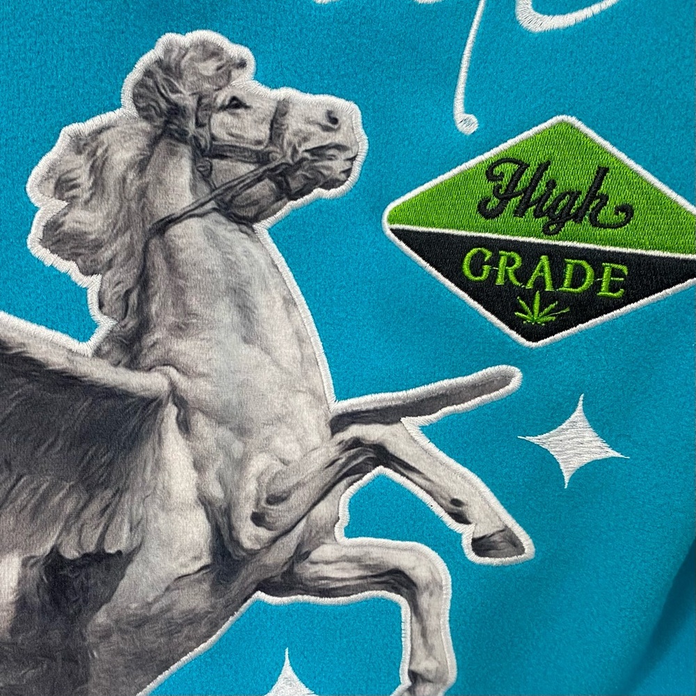 🔥 UN / NJ Pegasus Varsity Jacket | Cultivators of Quality | Size L Hype Beast - Picture 6 of 16